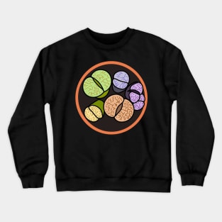 Lithops Succulent Cactus Desert Lithop Plant Crewneck Sweatshirt